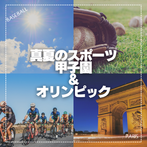 真夏のスポーツ🚴‍♀️⚾️ 画像